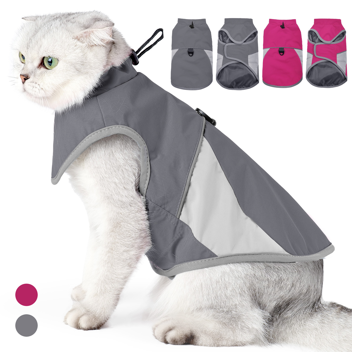 Reflective Cat Outdoor Windbre - Outdoor Adventure Windbreaker recension och pris